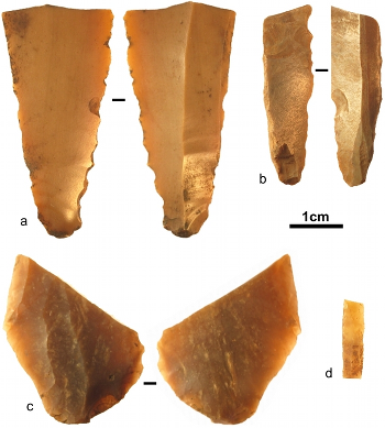 palouti.png